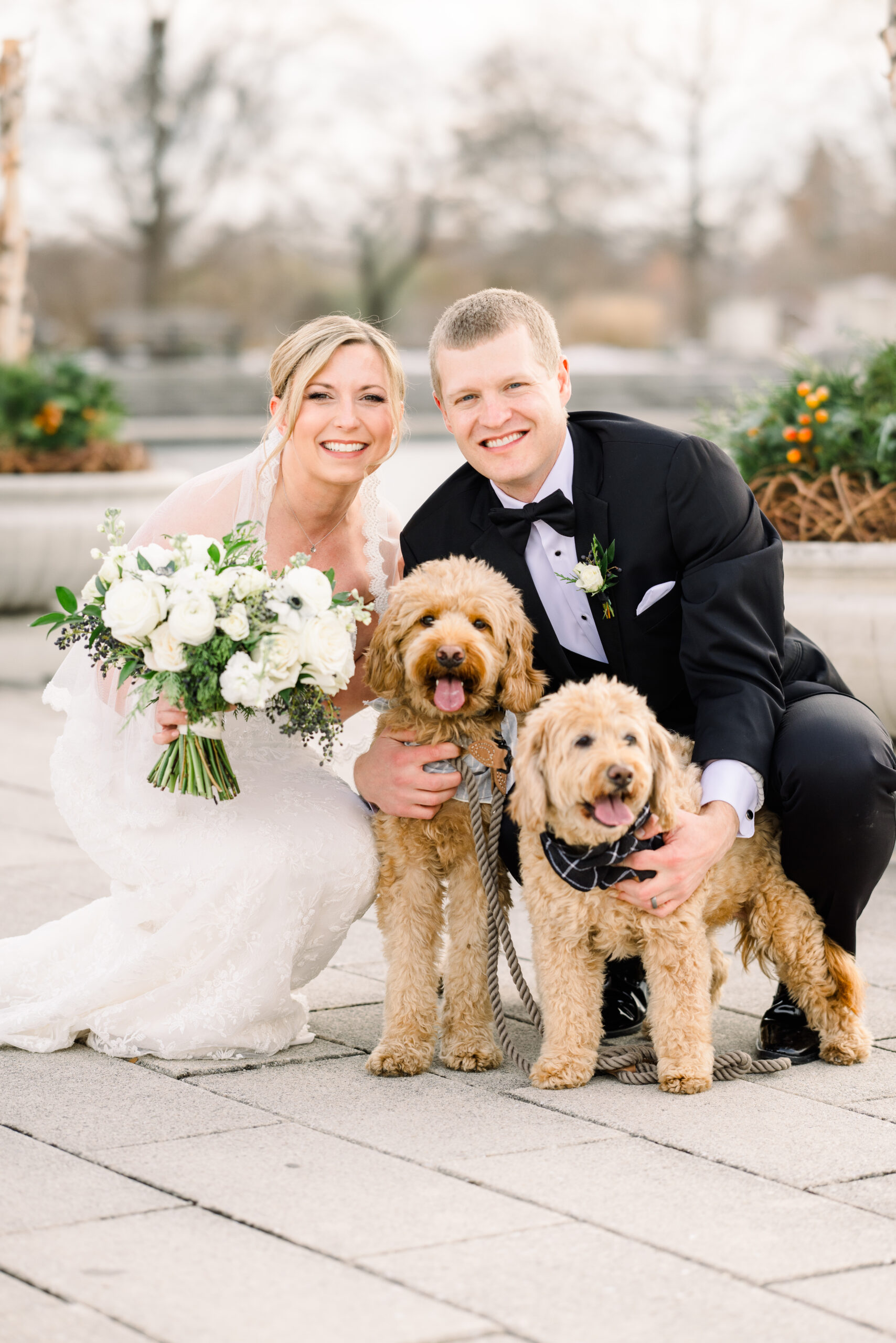 Wedding photography missouri with puppies